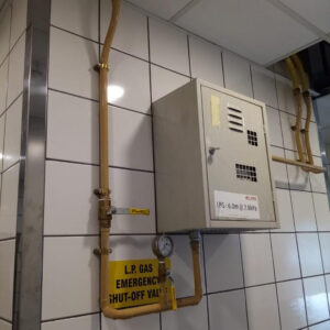 WhatsApp Image 2023-09-13 at 08.59.37 - Commercial LPG gas meter #4